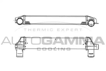 Теплообменник AUTOGAMMA 101884