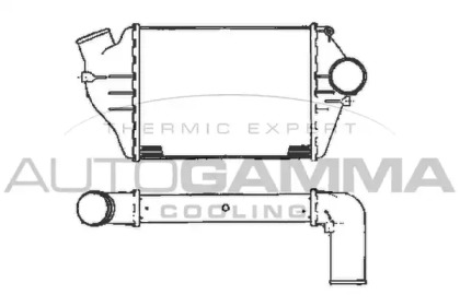 Теплообменник AUTOGAMMA 101891