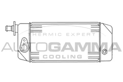 Теплообменник AUTOGAMMA 101892