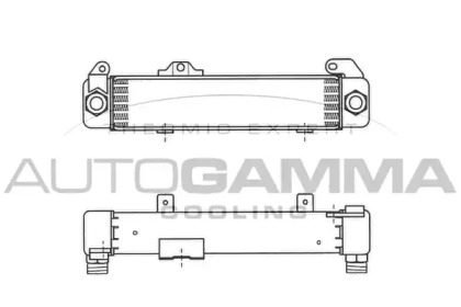 Теплообменник AUTOGAMMA 101893