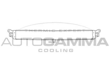 Теплообменник AUTOGAMMA 101904