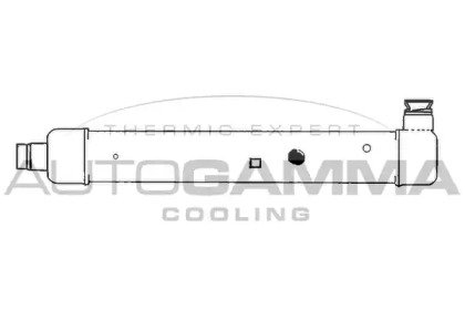  AUTOGAMMA 101906