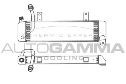 Теплообменник AUTOGAMMA 101909