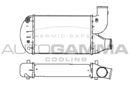  AUTOGAMMA 101912