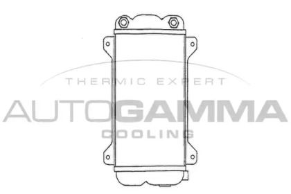 Теплообменник AUTOGAMMA 101931