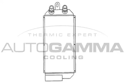 Теплообменник AUTOGAMMA 101941