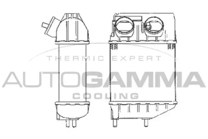 Теплообменник AUTOGAMMA 101953