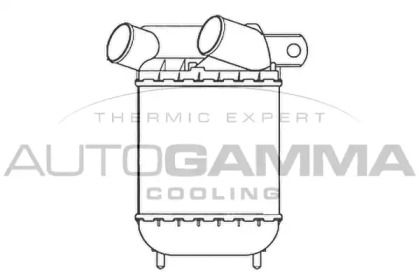 Теплообменник AUTOGAMMA 101956