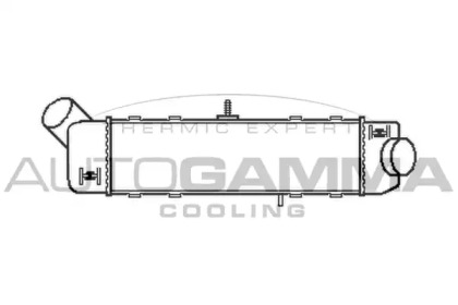 Теплообменник AUTOGAMMA 101957