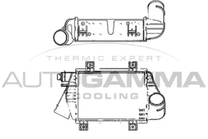 Интеркулер AUTOGAMMA 101966