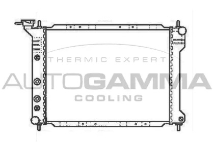 Теплообменник AUTOGAMMA 101984