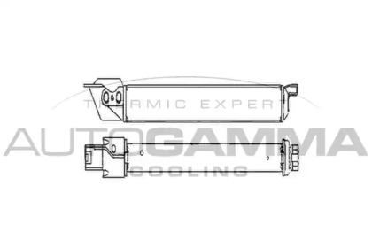 Теплообменник AUTOGAMMA 102011