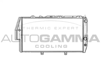 Теплообменник AUTOGAMMA 102026