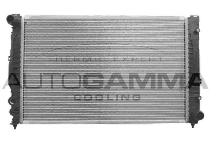 Теплообменник AUTOGAMMA 102055