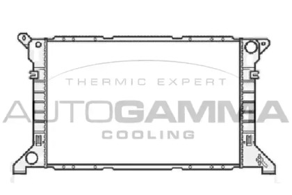 Теплообменник AUTOGAMMA 102085