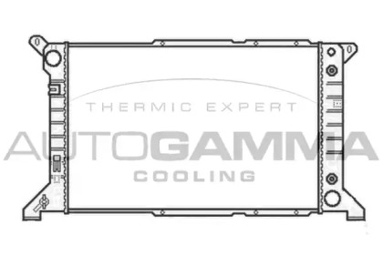 Теплообменник AUTOGAMMA 102090