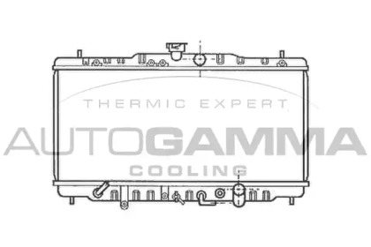 Теплообменник AUTOGAMMA 102119