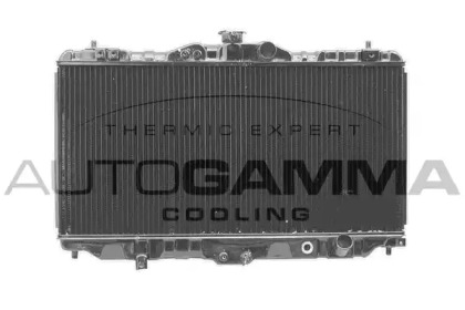 Теплообменник AUTOGAMMA 102120