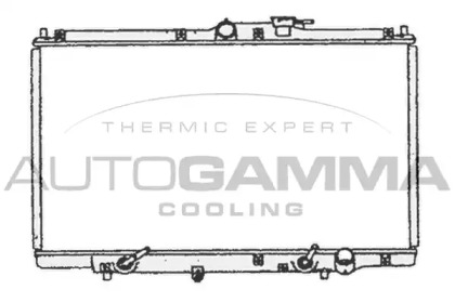 Теплообменник AUTOGAMMA 102121