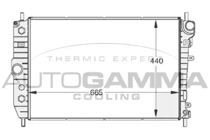 Теплообменник AUTOGAMMA 102129