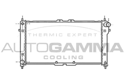 Теплообменник AUTOGAMMA 102140