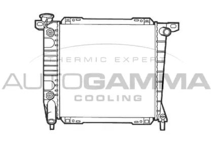 Теплообменник AUTOGAMMA 102142