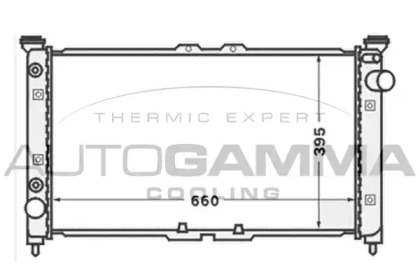 Теплообменник AUTOGAMMA 102145