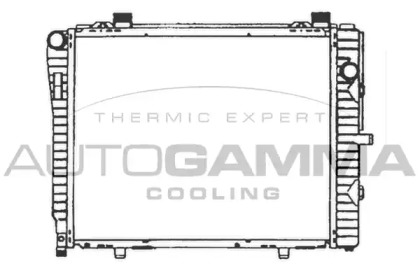 Теплообменник AUTOGAMMA 102166