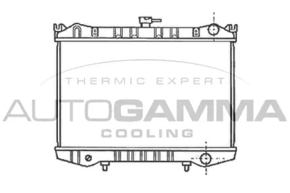 Теплообменник AUTOGAMMA 102186