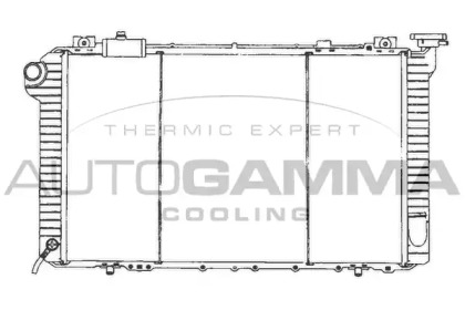 Теплообменник AUTOGAMMA 102191