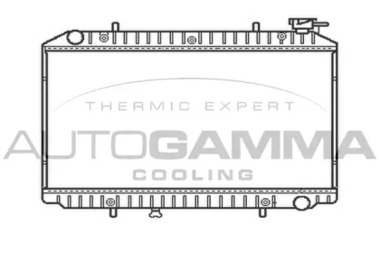 Теплообменник AUTOGAMMA 102199