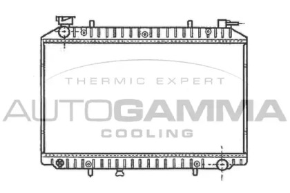 Теплообменник AUTOGAMMA 102200