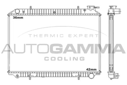 Теплообменник AUTOGAMMA 102206