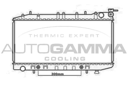 Теплообменник AUTOGAMMA 102212