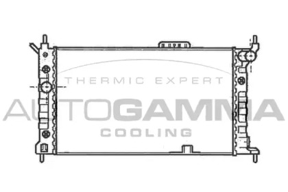 Теплообменник AUTOGAMMA 102217