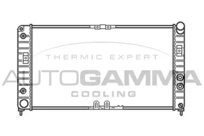 Теплообменник AUTOGAMMA 102264