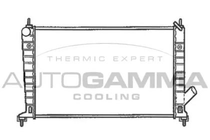 Теплообменник AUTOGAMMA 102301