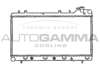 Теплообменник AUTOGAMMA 102309