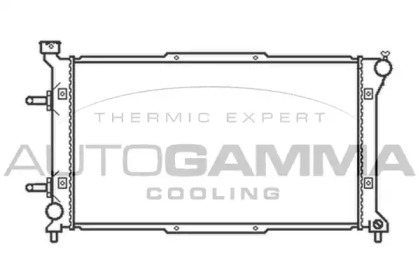 Теплообменник AUTOGAMMA 102316