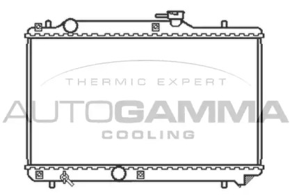 Теплообменник AUTOGAMMA 102322