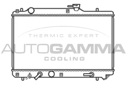 Теплообменник AUTOGAMMA 102323
