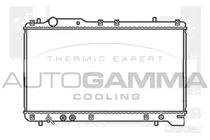 Теплообменник AUTOGAMMA 102328