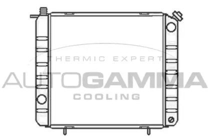 Теплообменник AUTOGAMMA 102346