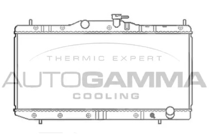 Теплообменник AUTOGAMMA 102352