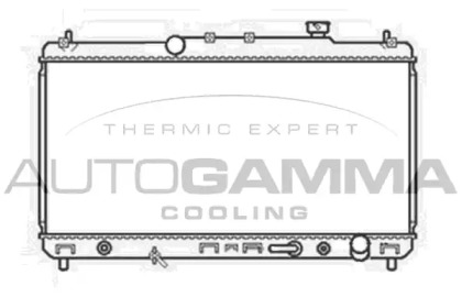 Теплообменник AUTOGAMMA 102355