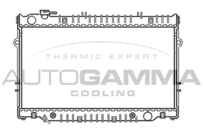 Теплообменник AUTOGAMMA 102365