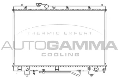 Теплообменник AUTOGAMMA 102371