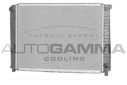 Теплообменник AUTOGAMMA 102385