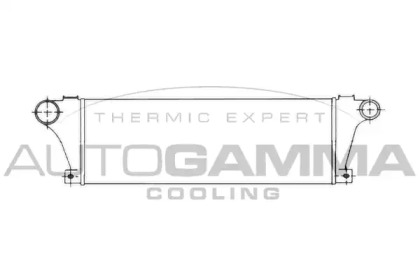 Теплообменник AUTOGAMMA 102396