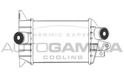 Интеркулер AUTOGAMMA 102404